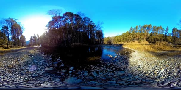 360 VR virtuell verklighet av en vild berg, tallskog och flod strömmar. Nationalpark, ängs- och solstrålar. — Stockvideo