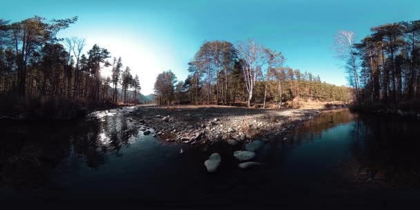 360 VR virtual reality van een wilde bergen, dennenbos en rivierstromen. Nationaal park, weide en zonnestralen. — Stockvideo