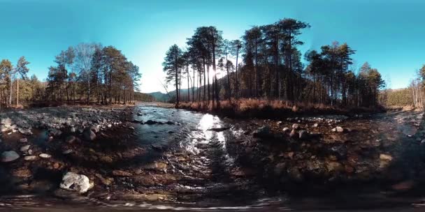 360 VR віртуальна реальність диких гір, соснових лісів і річкових потоків. Національний парк, луг і сонячні промені . — стокове відео