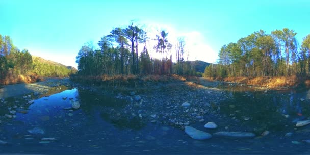 360 VR virtual reality of a wild mountains, pine forest and river flows. National park, meadow and sun rays. — Stock Video