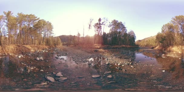 360野生の山、松林や川の流れのVR仮想現実。国立公園、牧草地、太陽光線. — ストック動画