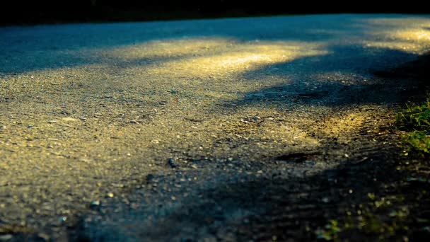 Sportler läuft auf Asphaltstraße. Ländlicher Stadtpark. Grüner Baumwald und Sonnenstrahlen am Horizont. — Stockvideo