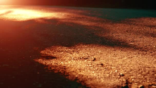 Sport man running at asphalt road. Rural city park. Green tree forest and sun rays on horizon. — Stock Video