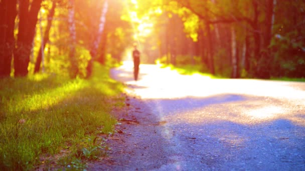 Sport man running at asphalt road. Rural city park. Green tree forest and sun rays on horizon. — Stock Video