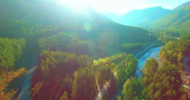 Mittlerer Luftflug über frischem Gebirgsfluss und Wiese am sonnigen Sommermorgen. Schotterpiste unten. — Stockvideo