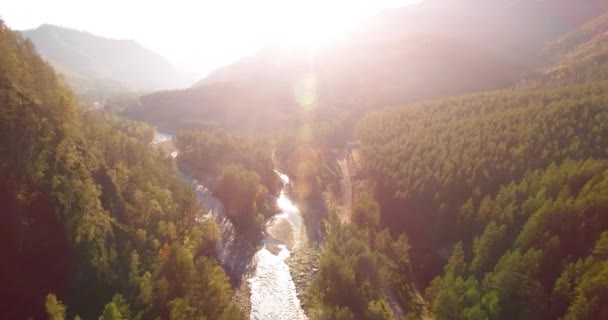 Vol en vol au-dessus d'une rivière de montagne fraîche et d'un pré au matin ensoleillé d'été. Chemin de terre rural en dessous. — Video