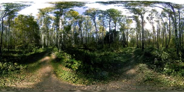 UHD 4K 360 VR Réalité virtuelle d'un parc municipal zone de loisirs. Arbres et herbe verte le jour d'automne ou d'été — Video