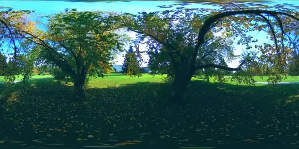 UHD 4K 360 VR Realidad virtual de un área recreativa del parque de la ciudad. Árboles y hierba verde en el día de otoño o verano — Vídeos de Stock