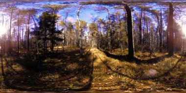 4k Sonbahar zaman bir güzel dağ sahnenin 360 Vr sanal gerçeklik. Vahşi Rus dağlar.