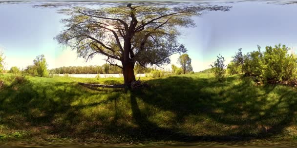 UHD 4k 360 Vr Virtual Reality van een rivier stroomt over rotsen in het prachtige berglandschap van de bos — Stockvideo