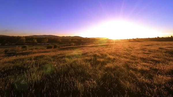 4K UHD mountain meadow timelapse at the summer. Clouds, trees, green grass and sun rays movement. — Stock Photo, Image