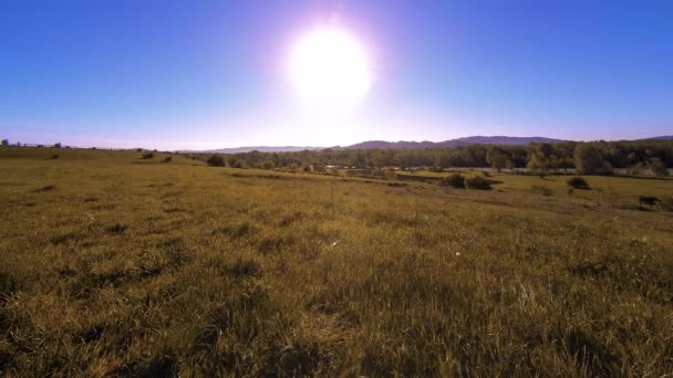 4K UHD山の牧草地は夏にタイムラプスします。雲、木、緑の草、太陽光線の動き. — ストック動画