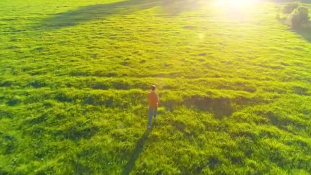 Flight over sporty man running at perfect green grass rural meadow offroad. Sunset in mountain — Stock Video