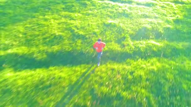 Vuelo sobre el hombre deportivo corriendo en la hierba verde perfecta pradera rural offroad. Puesta de sol en montaña — Vídeo de stock