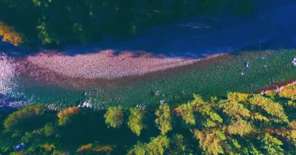 Vuelo en medio del aire sobre un río de montaña fresco y limpio en la soleada mañana de verano. Movimiento vertical — Vídeos de Stock