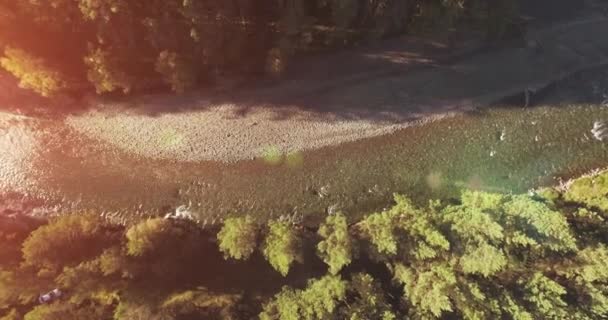 Vuelo en medio del aire sobre un río de montaña fresco y limpio en la soleada mañana de verano. Movimiento vertical — Vídeo de stock