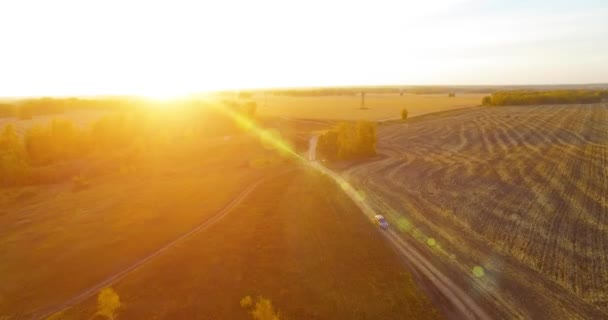 UHD 4K aerial view. Mid-air flight over yellow rural field and dirt road — Stock Video