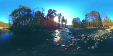 Vahşi dağların, çam ormanlarının ve nehir akışlarının 360 VR sanal gerçekliği. Ulusal park, çayır ve güneş ışınları.