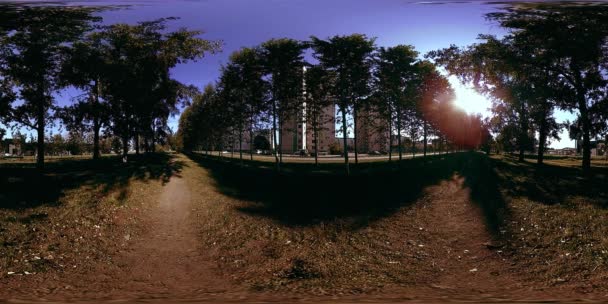 UHD 4K 360 VR Virtual Reality van een recreatiegebied in een stadspark. Bomen en groen gras op herfst- of zomerdag — Stockvideo