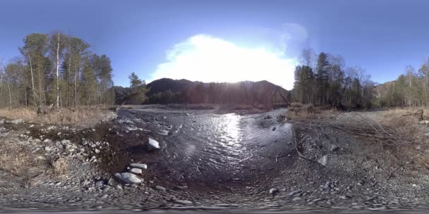 360 VR realidad virtual de montañas salvajes, bosques de pinos y ríos fluye. Parque Nacional, prados y rayos de sol. — Vídeo de stock