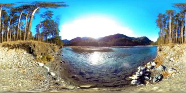 Vahşi dağların, çam ormanlarının ve nehir akışlarının 360 VR sanal gerçekliği. Ulusal park, çayır ve güneş ışınları.