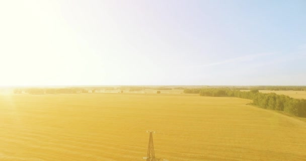 Vuelo de movimiento vertical cerca de la torre de alta tensión y líneas eléctricas en el campo verde y amarillo — Vídeo de stock