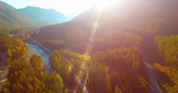 Mid air flight over fresh mountain river and meadow at sunny summer morning. Rural dirt road below. — Stock Video