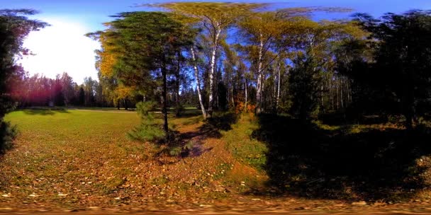 UHD 4K 360 VR Realtà Virtuale di un'area ricreativa del parco cittadino. Alberi ed erba verde al giorno d'autunno o d'estate — Video Stock