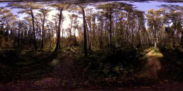 UHD 4K 360 VR Realidad virtual de un área recreativa del parque de la ciudad. Árboles y hierba verde en el día de otoño o verano — Vídeo de stock