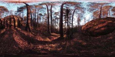 4K 360 VR sonbahar zamanındaki güzel bir dağ manzarasının sanal gerçekliği. Vahşi Sibirya Dağları.