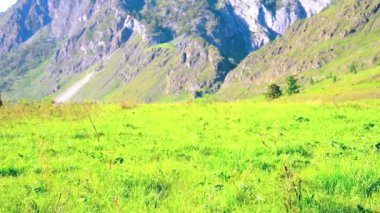Sırt çantası ile yeşil dağ çayır üzerinde yürüyen adam hiking. Yaz spor ve eğlence kavramı.
