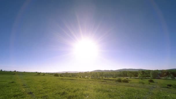 4K UHD гірський луговий часовий пояс влітку. Хмари, дерева, зелена трава і рух сонячних променів . — стокове відео
