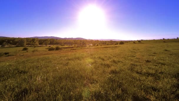 4K UHD mountain meadow timelapse at the summer. Clouds, trees, green grass and sun rays movement. — Stock Video