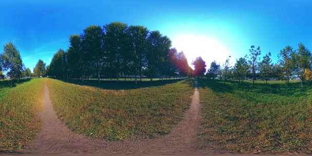 UHD 4K 360 VR Realidad virtual de un área recreativa del parque de la ciudad. Árboles y hierba verde en el día de otoño o verano — Vídeo de stock