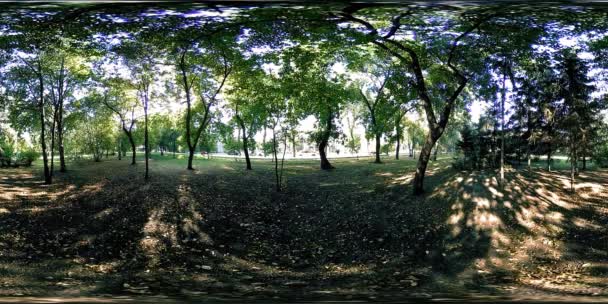 UHD 4K 360 VR Réalité virtuelle d'un parc municipal zone de loisirs. Arbres et herbe verte le jour d'automne ou d'été — Video