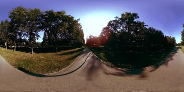 UHD 4K 360 VR Réalité virtuelle d'un parc municipal zone de loisirs. Arbres et herbe verte le jour d'automne ou d'été — Video