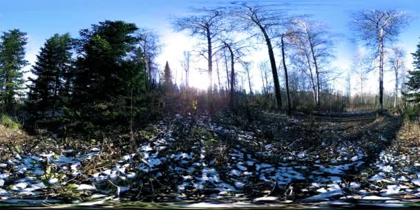 4K 360 VR virtuális valóság egy gyönyörű hegyi jelenet ősszel. Vad orosz hegyek hóban — Stock videók