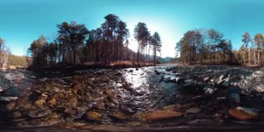 Vahşi dağların, çam ormanlarının ve nehir akışlarının 360 VR sanal gerçekliği. Ulusal park, çayır ve güneş ışınları.