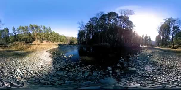 360 VR realidade virtual de uma montanha selvagem, pinhal e fluxos de rio. Parque nacional, prado e raios de sol. — Vídeo de Stock