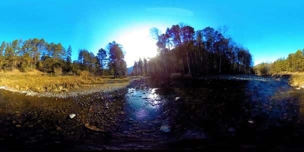 360 VR 가상 현실의 야생 산, 소나무 숲, 강 흐름. 국립 공원, 목초지 및 태양 광선. — 비디오