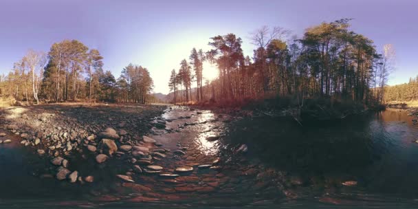 360 VR realidade virtual de uma montanha selvagem, pinhal e fluxos de rio. Parque nacional, prado e raios de sol. — Vídeo de Stock