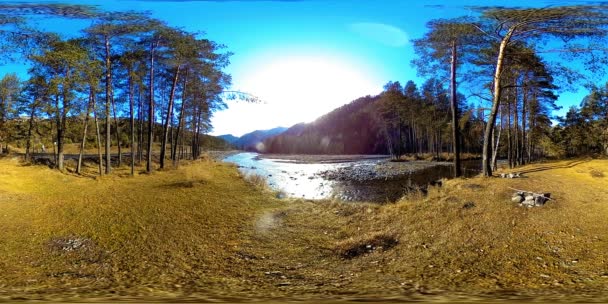 360 VR wirtualna rzeczywistość dzikich gór, lasów sosnowych i rzek. Park narodowy, łąki i promienie słoneczne. — Wideo stockowe