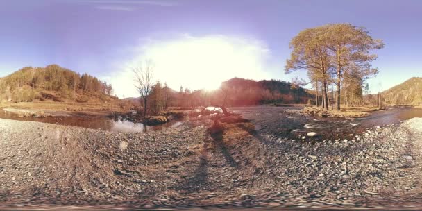 360 VR virtual reality of a wild mountains, pine forest and river flows. National park, meadow and sun rays. — Stock Video