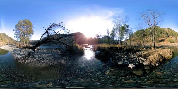 360 VR realidade virtual de uma montanha selvagem, pinhal e fluxos de rio. Parque nacional, prado e raios de sol. — Vídeo de Stock