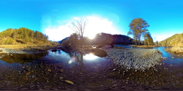 360 VR realidade virtual de uma montanha selvagem, pinhal e fluxos de rio. Parque nacional, prado e raios de sol. — Vídeo de Stock