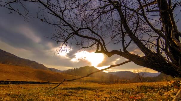 Time lapse of death tree and dry yellow grass at mountian landscape with clouds and sun rays. Mouvement horizontal du curseur — Video