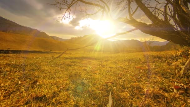 Time lapse di albero della morte e erba gialla secca a paesaggio montano con nuvole e raggi di sole. Movimento cursore orizzontale — Video Stock