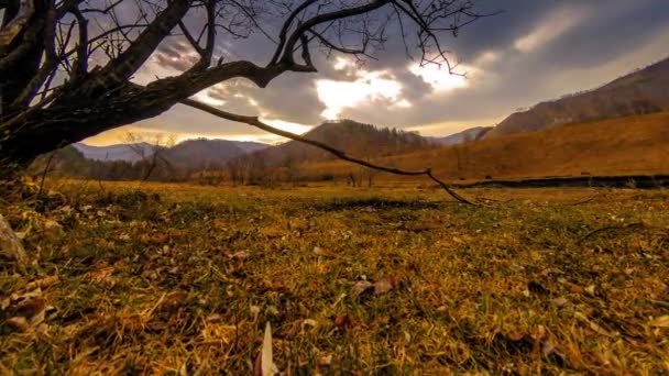 Tijdsverloop van de dood boom en droog geel gras op mountian landschap met wolken en zonnestralen. Horizontale schuifbeweging — Stockvideo