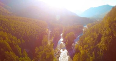 Güneşli yaz sabahında taze dağ nehri ve çayır üzerinde uçuşun ortasında. Aşağıdaki kırsal toprak yol.