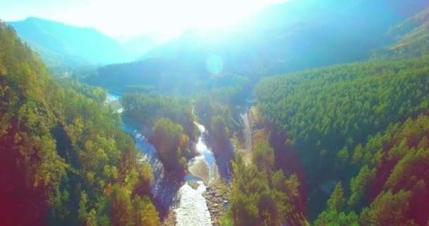 Mittlerer Luftflug über frischem Gebirgsfluss und Wiese am sonnigen Sommermorgen. Schotterpiste unten. — Stockvideo